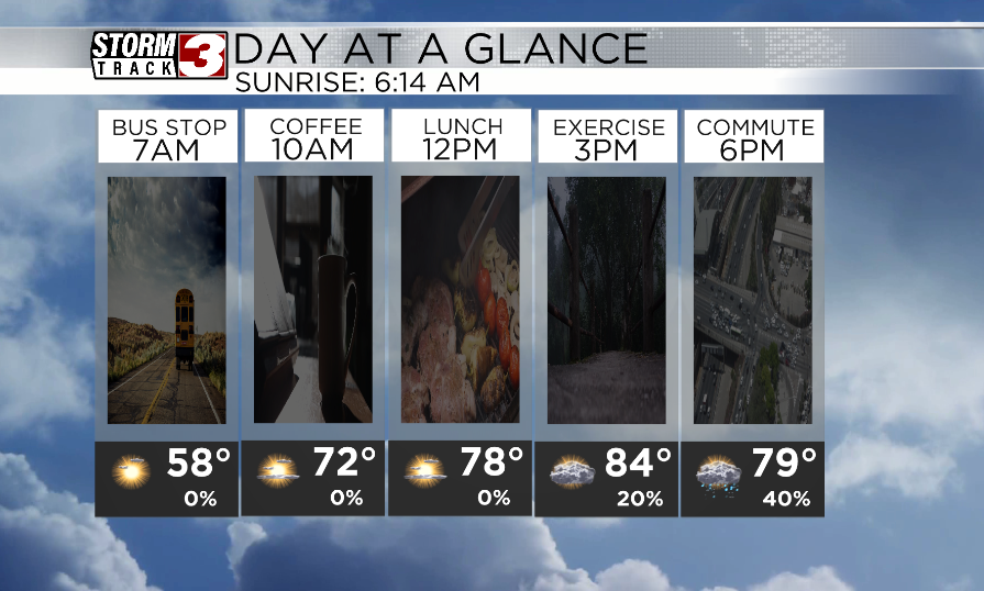 Hourly forecast